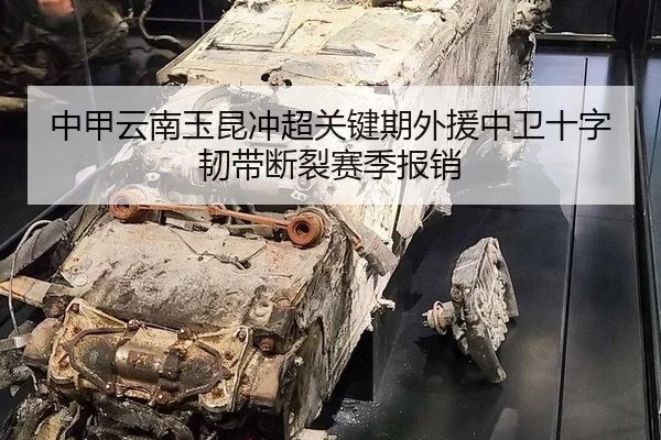 zhong-jia-yun-nan-yu-kun-chong-chao-guan-jian-qi-wai-yuan-zhong-wei-shi-zi-ren-dai-duan-lie-sai-ji-bao-xiao-2-656.jpg