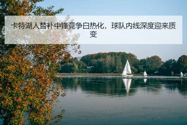 ka-te-hu-ren-ti-bu-zhong-feng-jing-zheng-bai-re-hua-qiu-dui-nei-xian-shen-du-ying-lai-zhi-bian-2-557.jpg