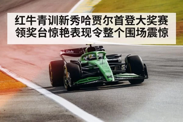 Formula 1 qualifying